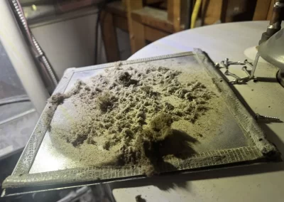 Duct Cleaning